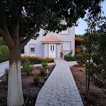 Studio Katafigi Anavyssos Exterior photo